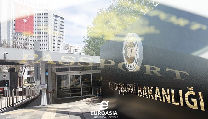 yeşil ve gri pasaport 2020